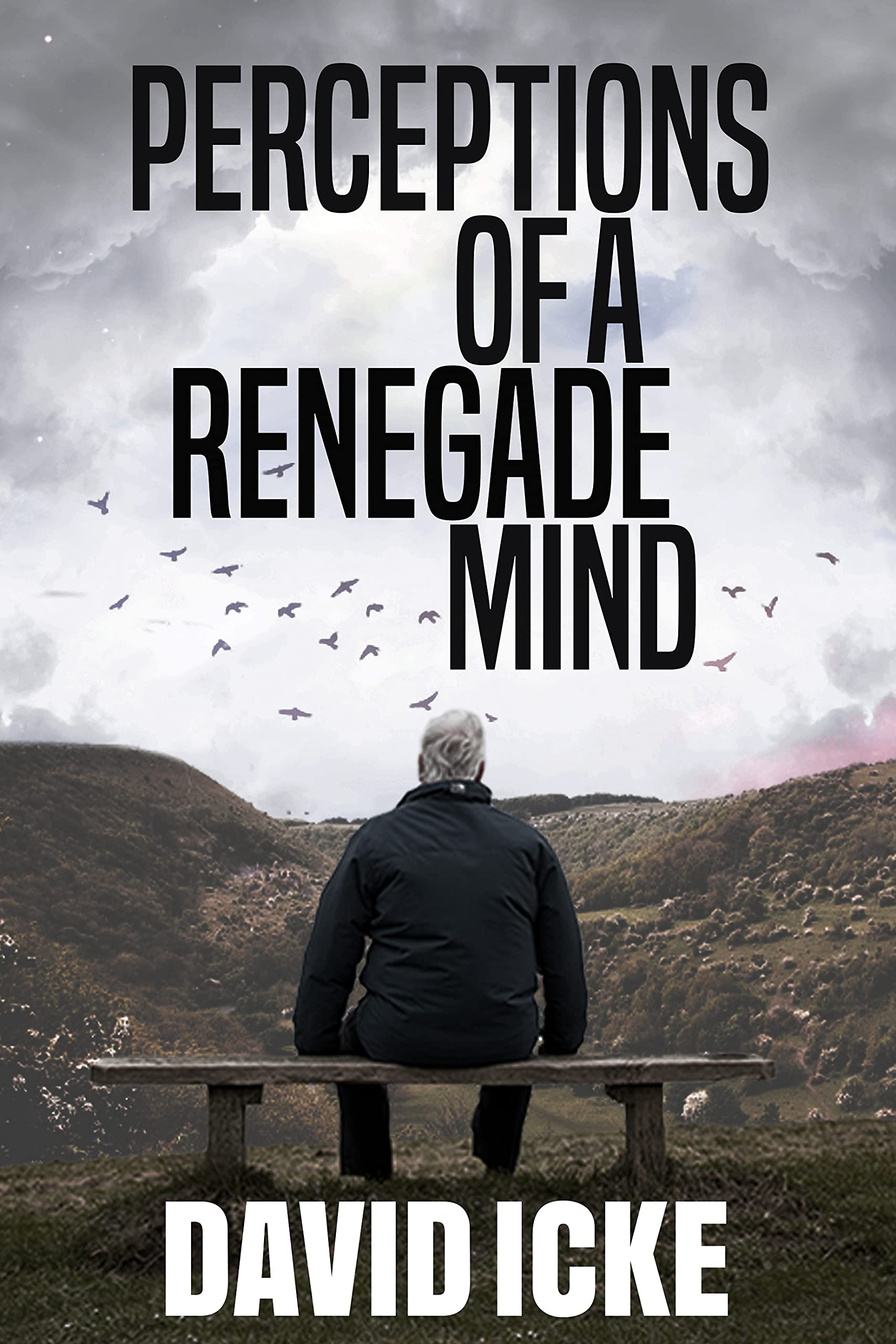 Perceptions Of A Renegade Mind (Kindle Edition)