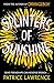 Splinters of Sunshine