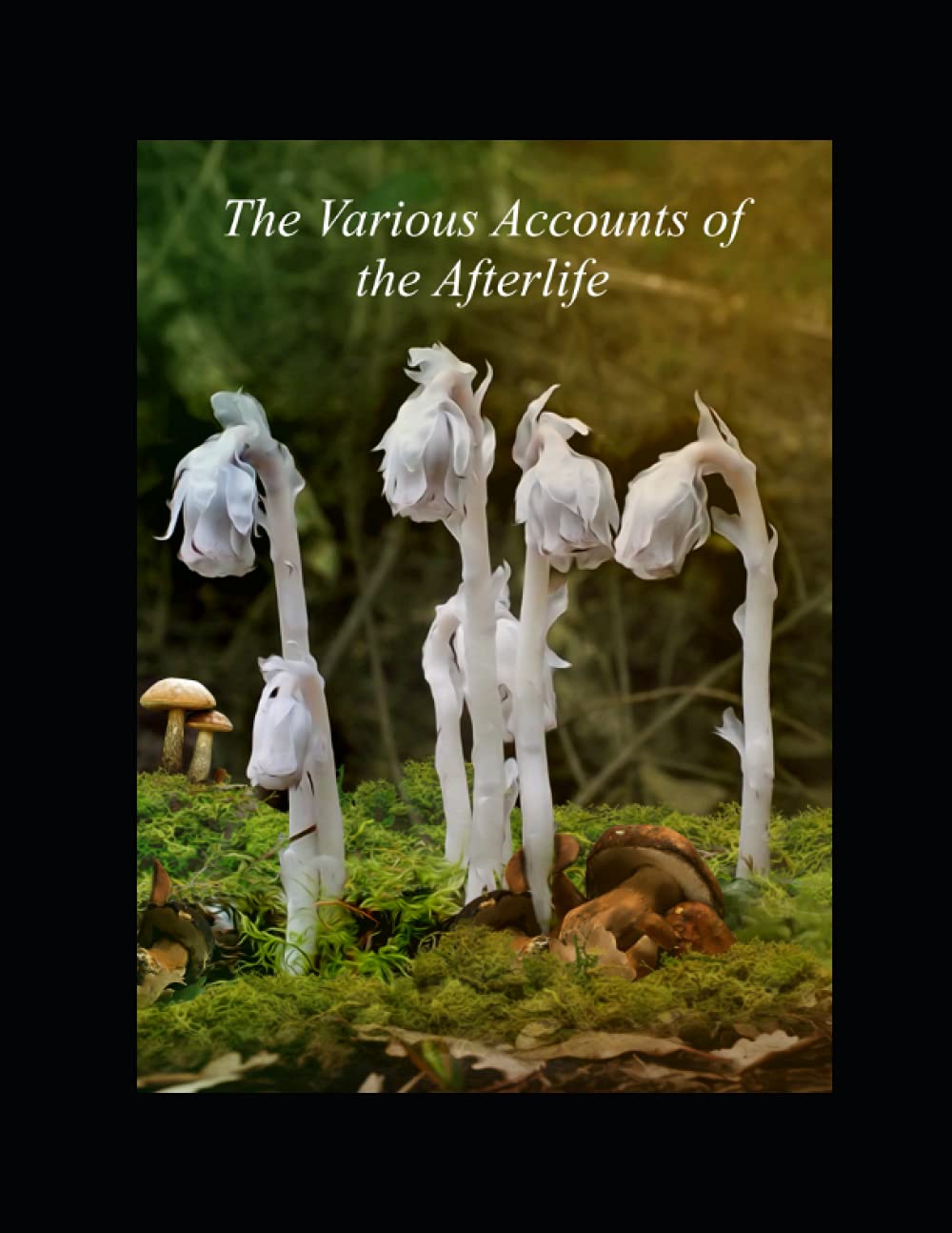 The Various Accounts of The Afterlife (Paperback)