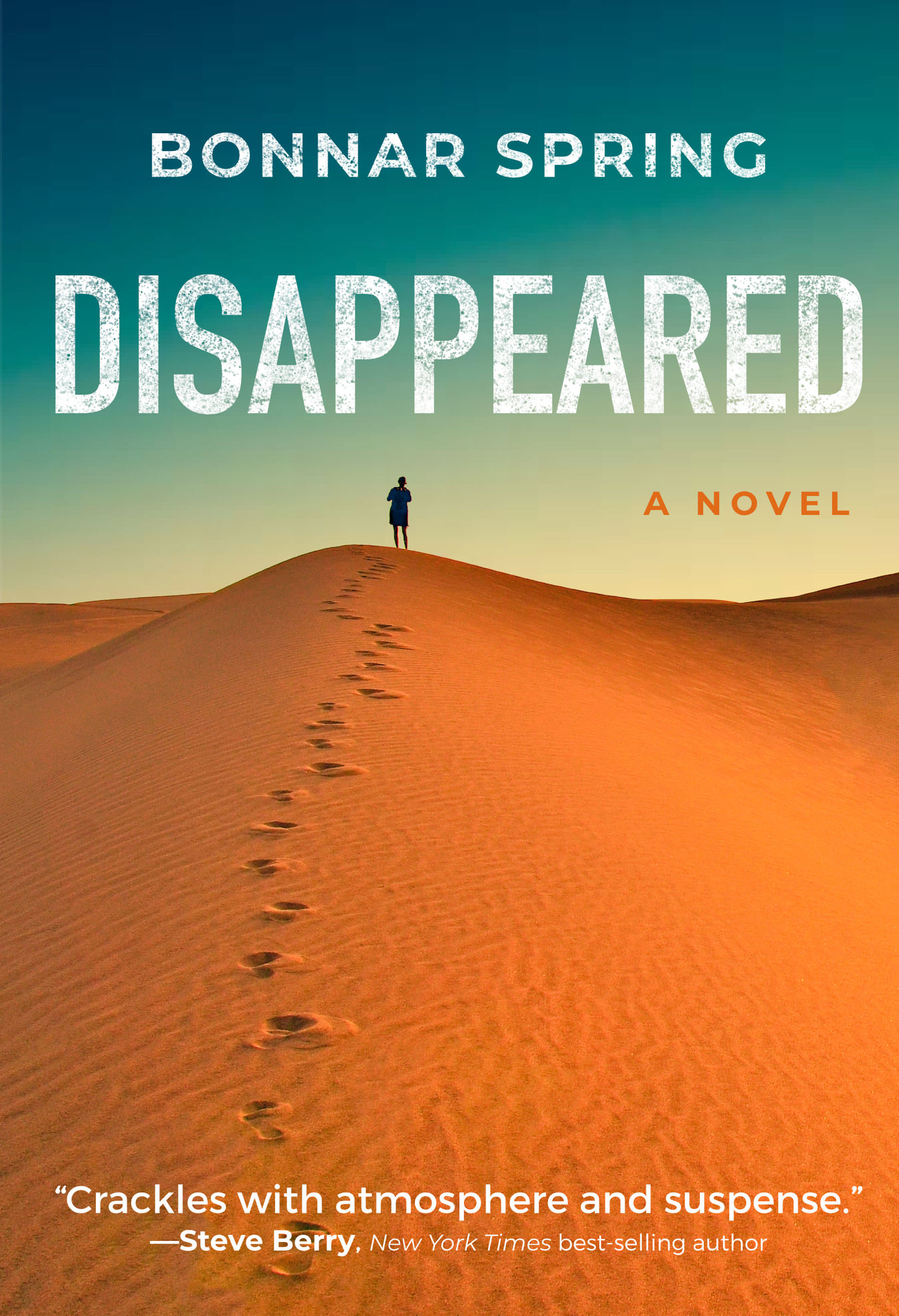 Disappeared (Kindle Edition)