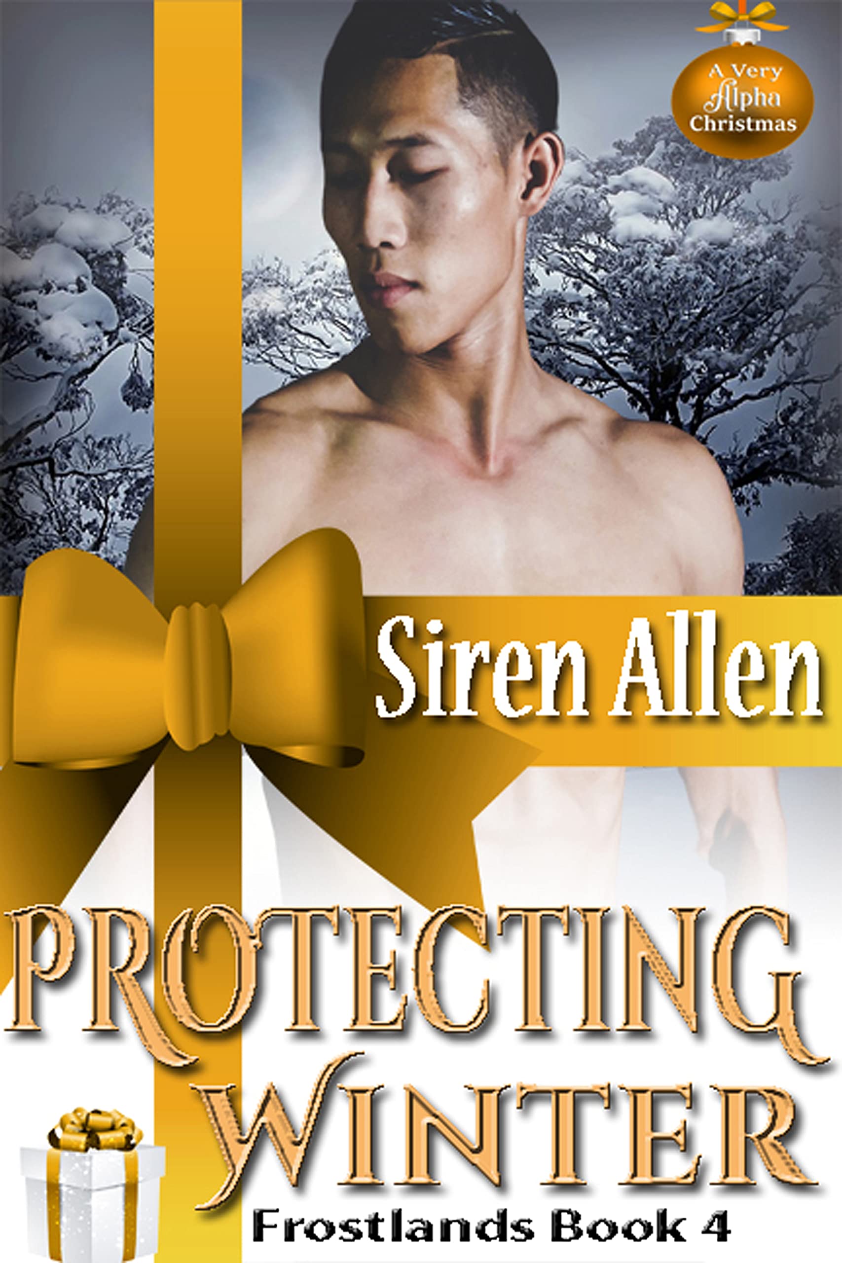 Protecting Winter: AMBW Romantic Suspense (The Frostlands Book 4)