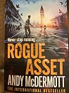 Rogue Asset