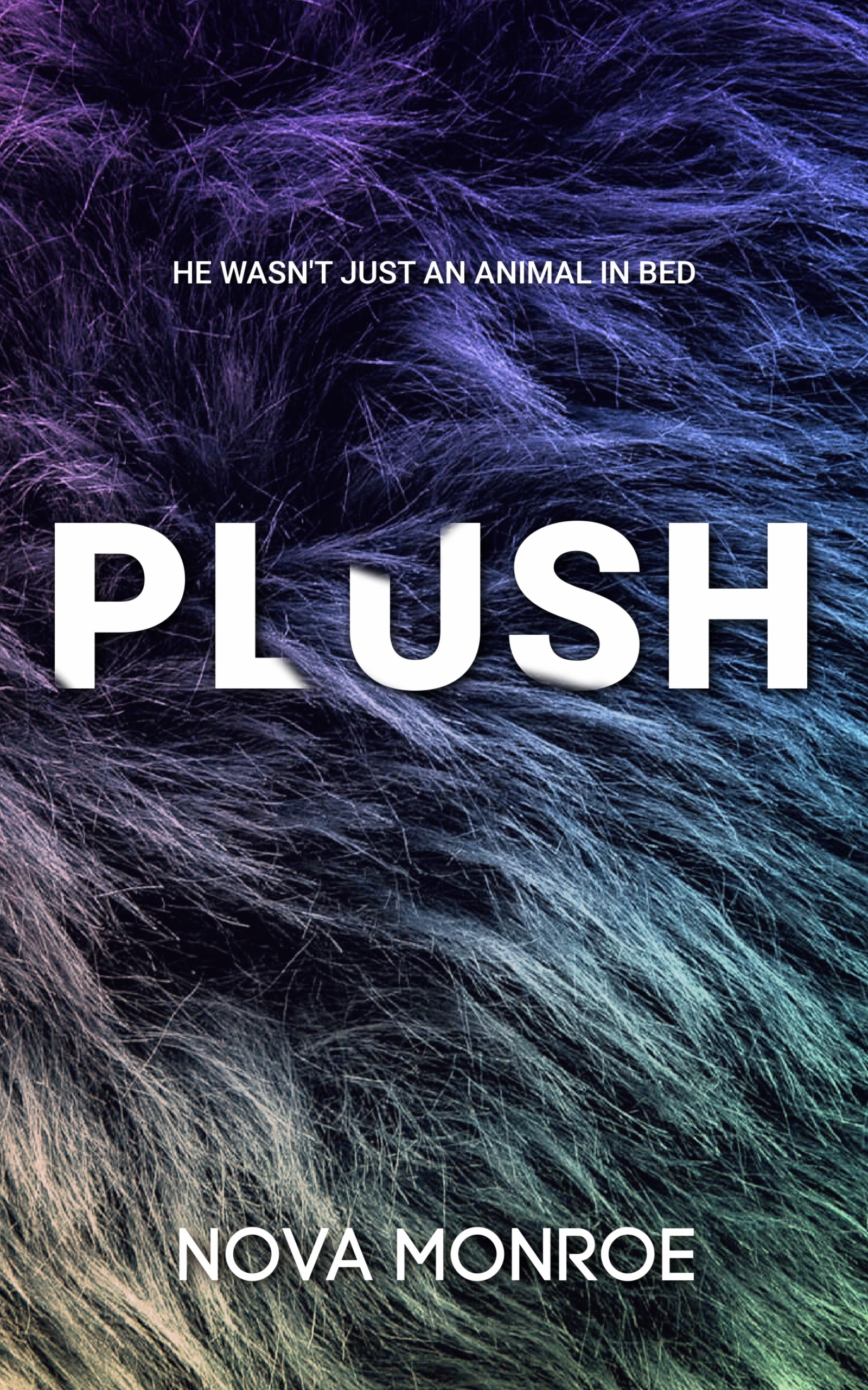 Plush (Kindle Edition)