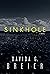 Sinkhole by Davida G. Breier