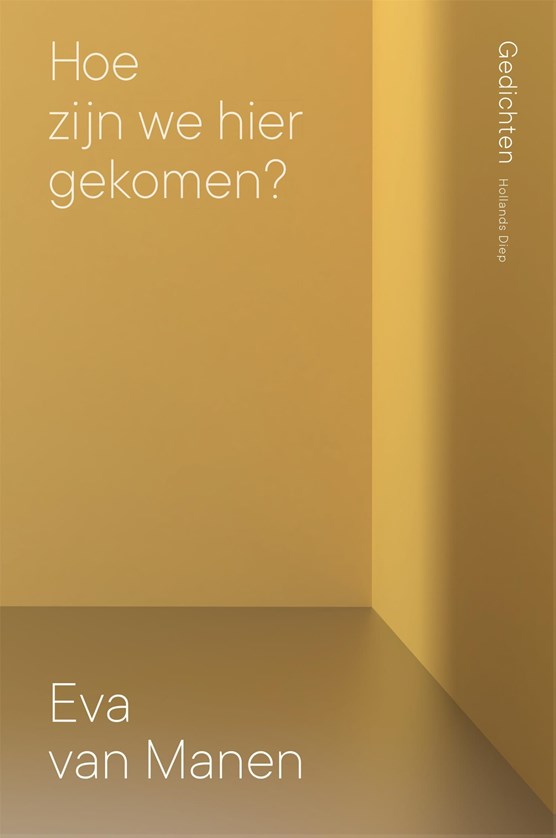 Hoe zijn we hier gekomen? (Kindle Edition)