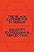 The Black Experience in Design by Anne H. Berry