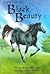 Black Beauty by Mary Sebag-Montefiore