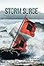 Storm Surge by John F. Banas