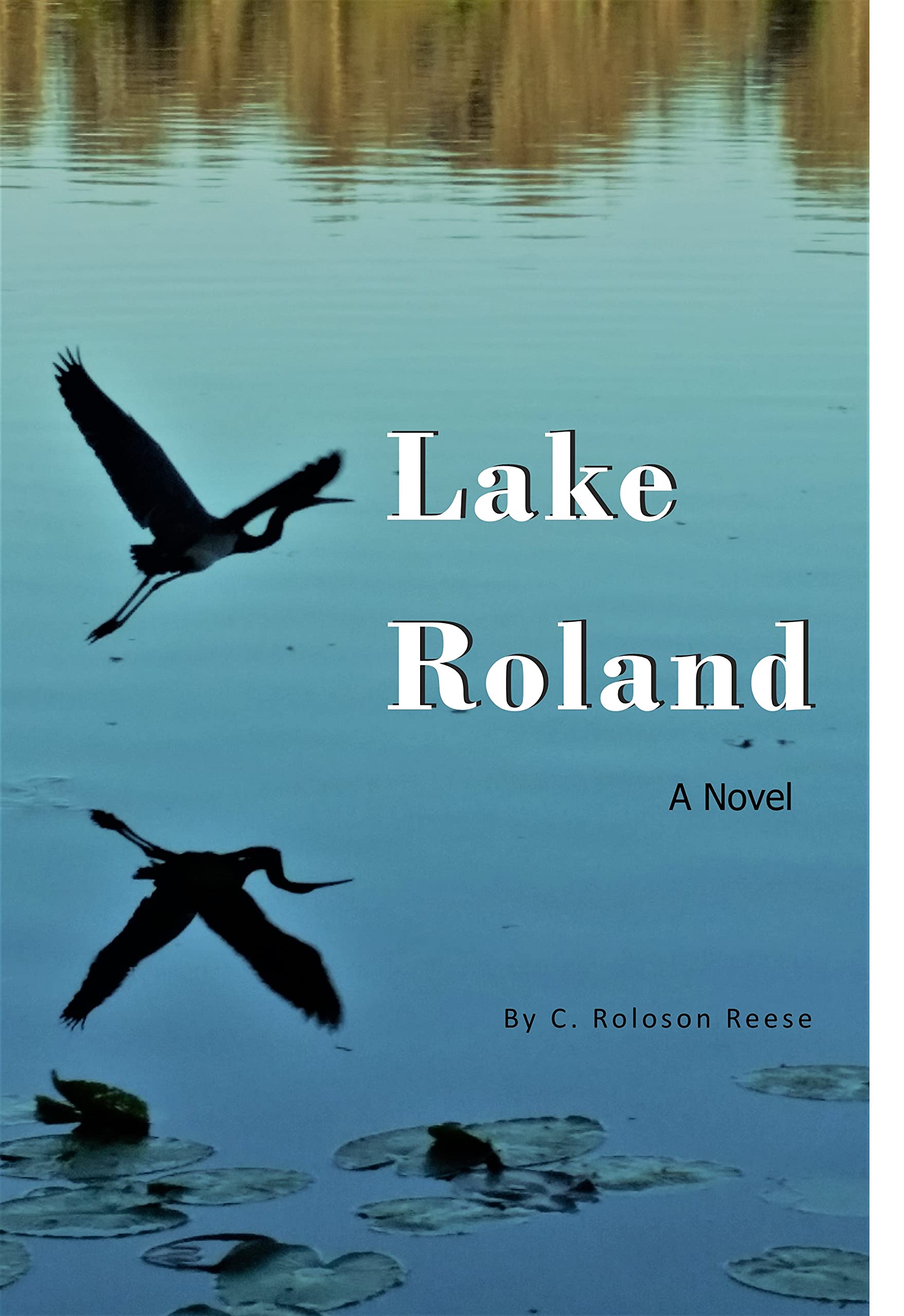 Lake Roland (Kindle Edition)