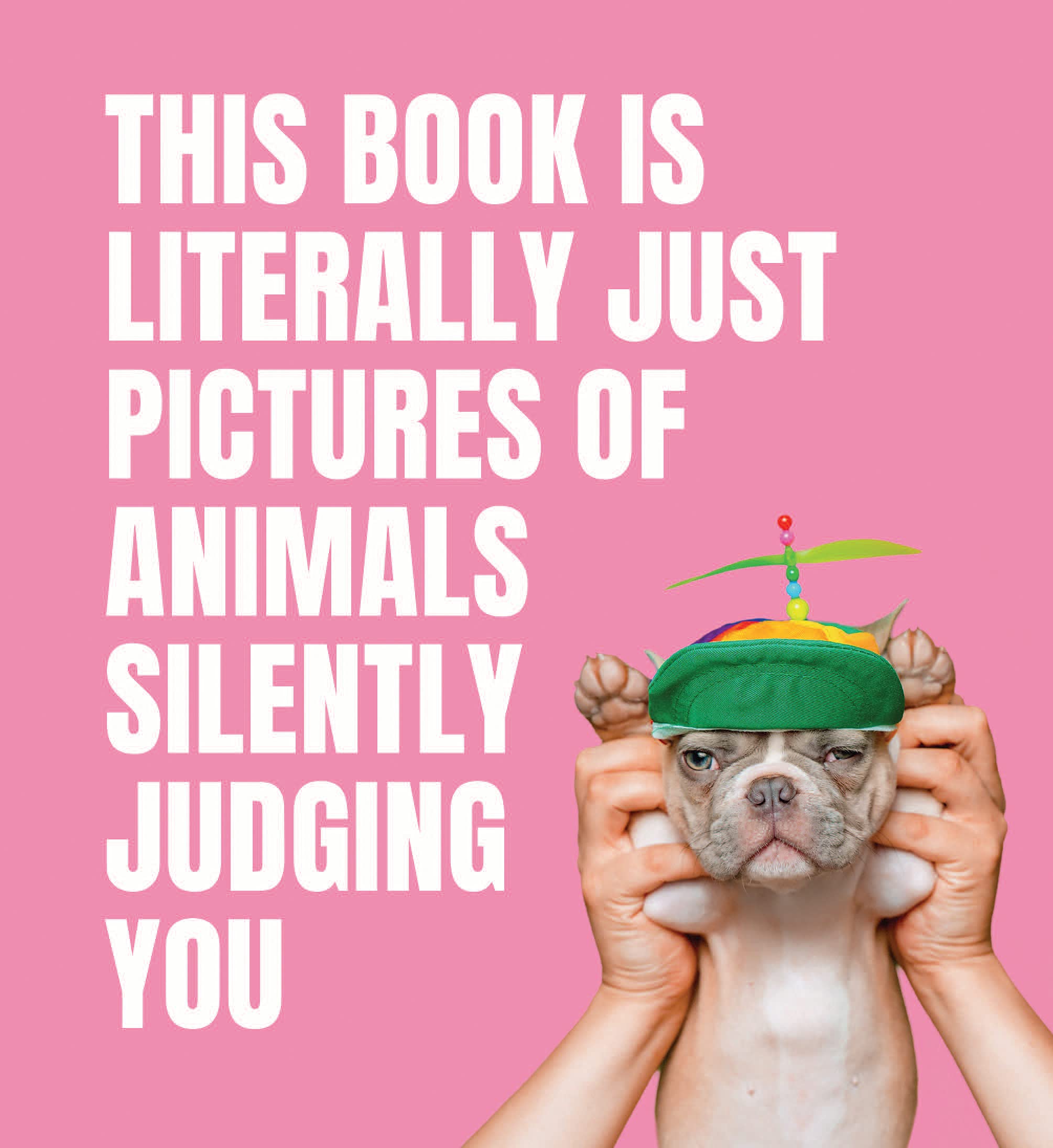 This Book Is Literally Just Pictures of Animals Silently Judging You (Hardcover)