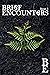 Brief Encounters Issue #5 by Adek Series
