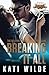 Breaking It All by Kati Wilde
