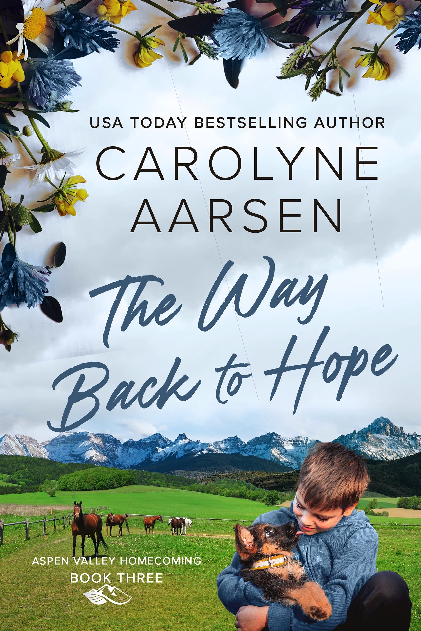 The Way Back to Hope (Aspen Valley Homecoming #3)