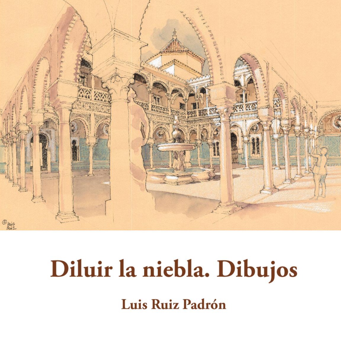 Diluir la niebla. Dibujos