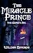 The Miracle Prince: The Rav...