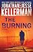 The Burning (Clay Edison, #4)