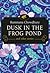 Dusk in the Frog Pond and Other Stories by Rummana Chowdhury