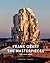 Frank Gehry: The Masterpieces