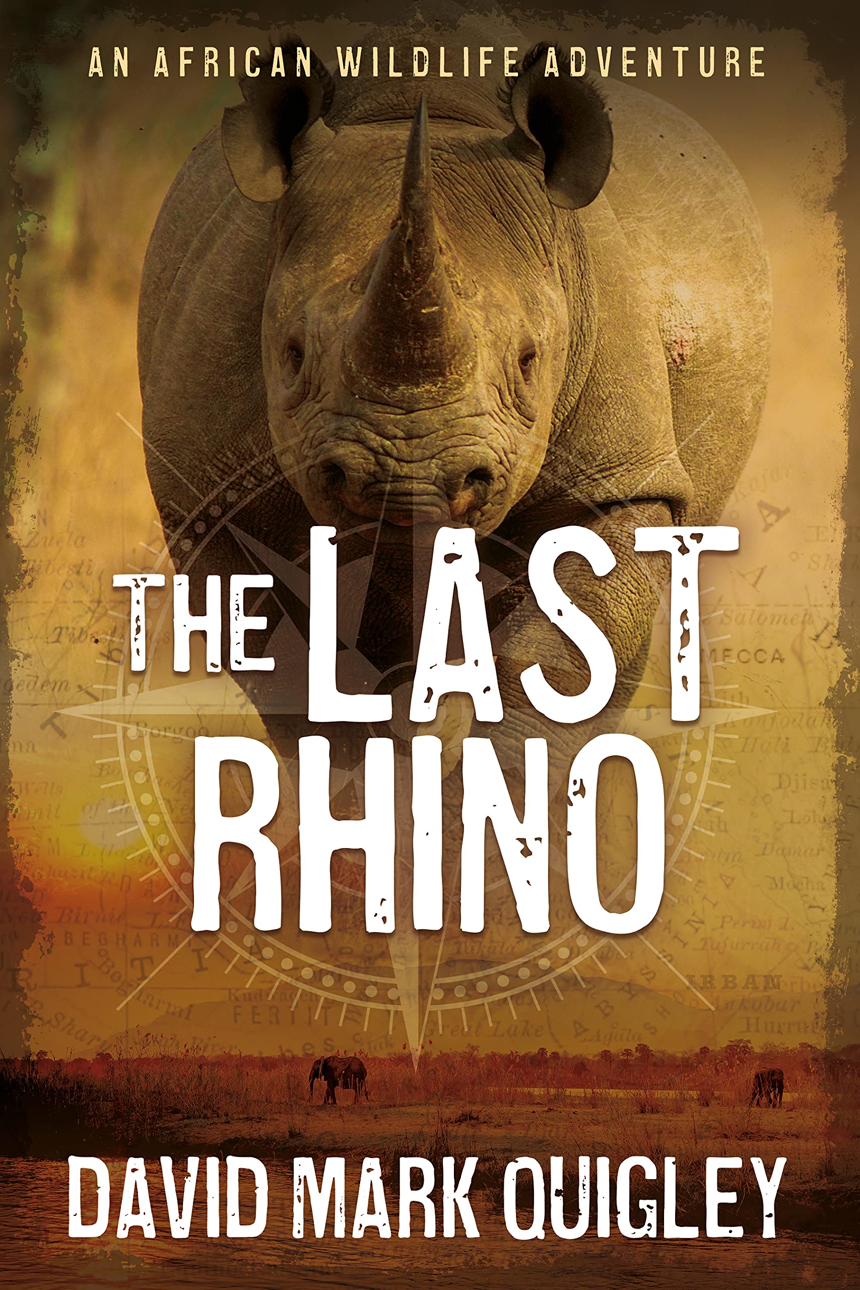 The Last Rhino: An African Wildlife Adventure (African Series Book 1)