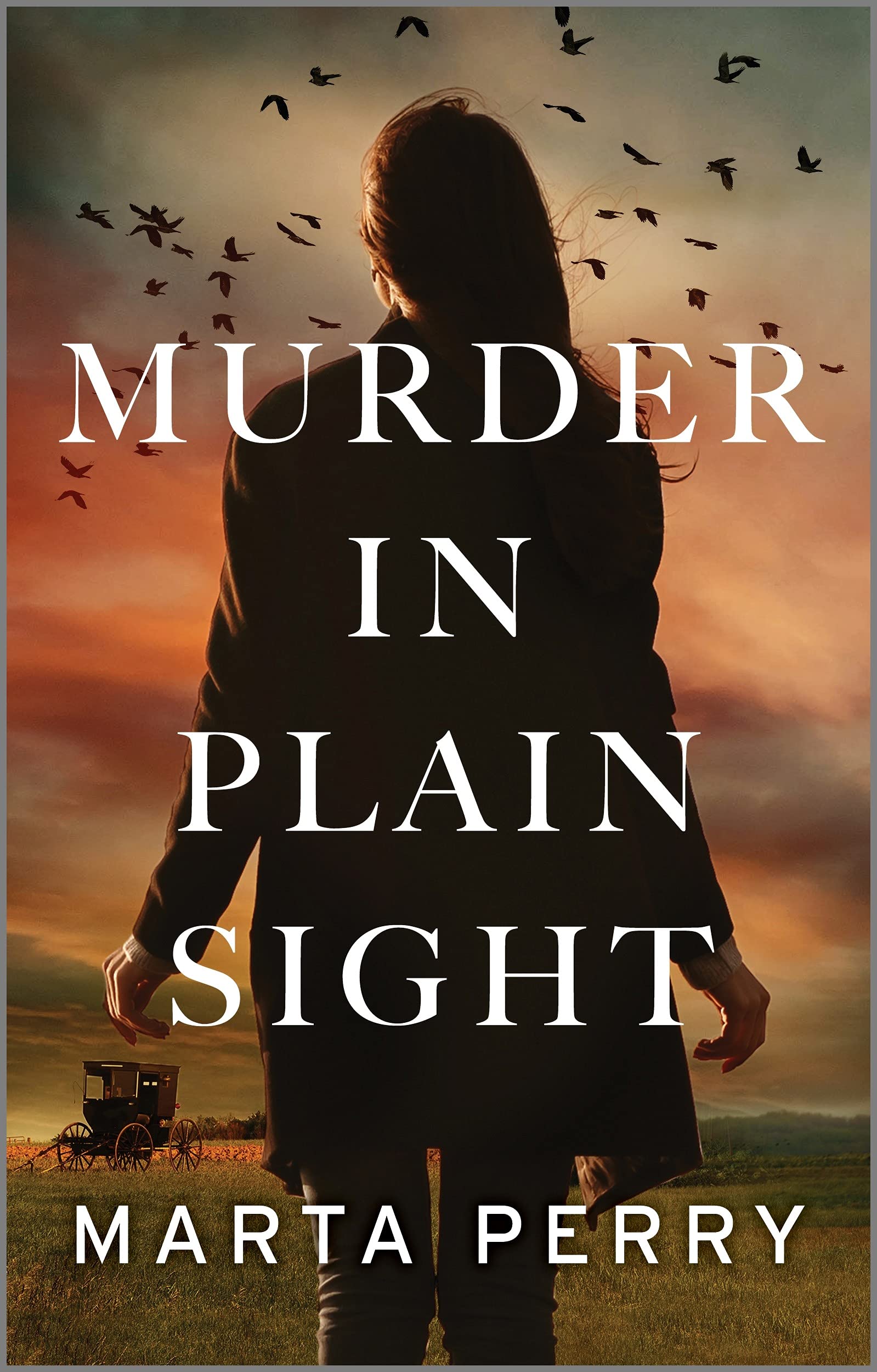 Murder in Plain Sight: A Fan-Favorite Amish Mystery and Small Town Romantic Suspense Novel (Brotherhood of the Raven Book 1)