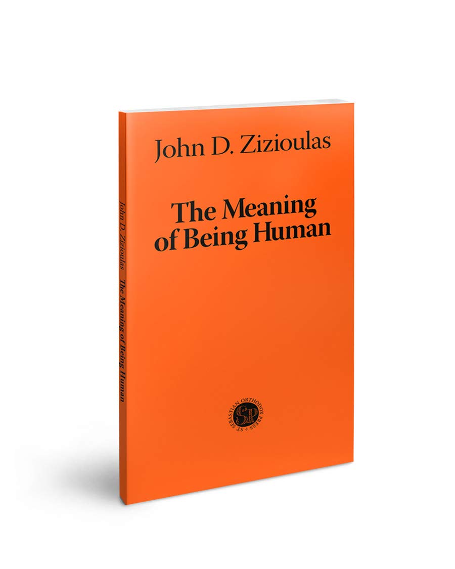 The Meaning of Being Human (Paperback)