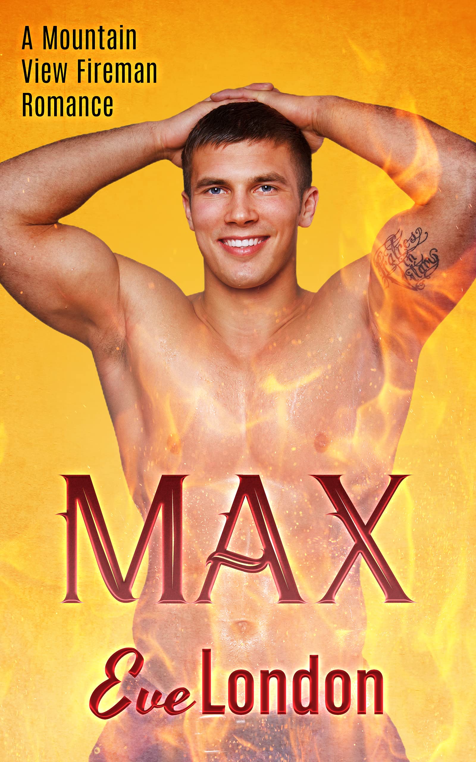 Max (Mountain View Fireman #7)