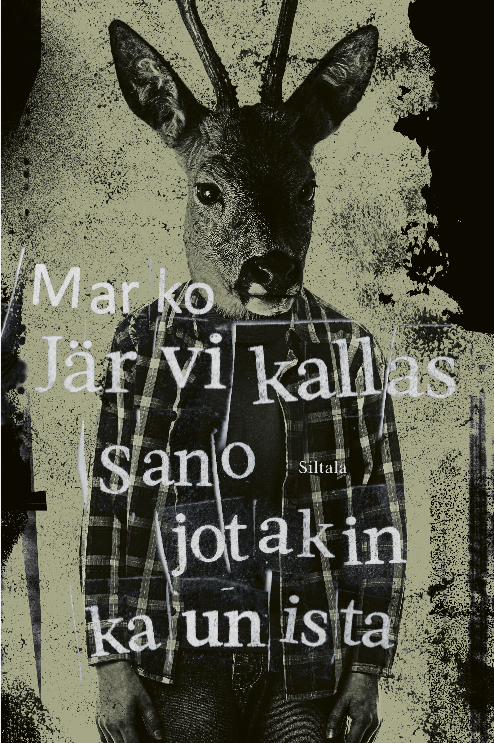 Sano jotakin kaunista (Hardcover)