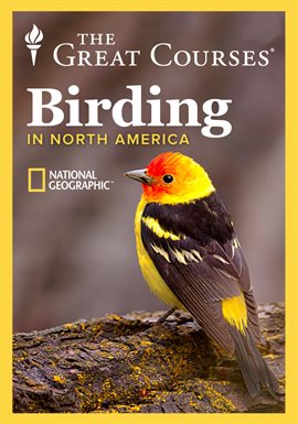 The National Geographic Guide to Birding in North America
