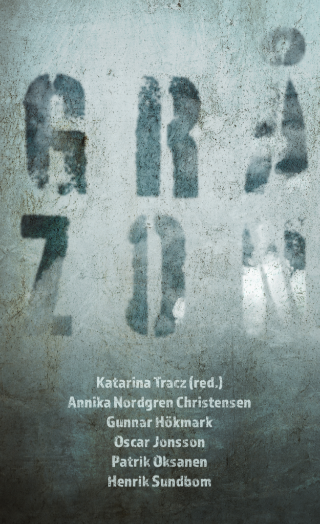 Gråzon (Paperback)