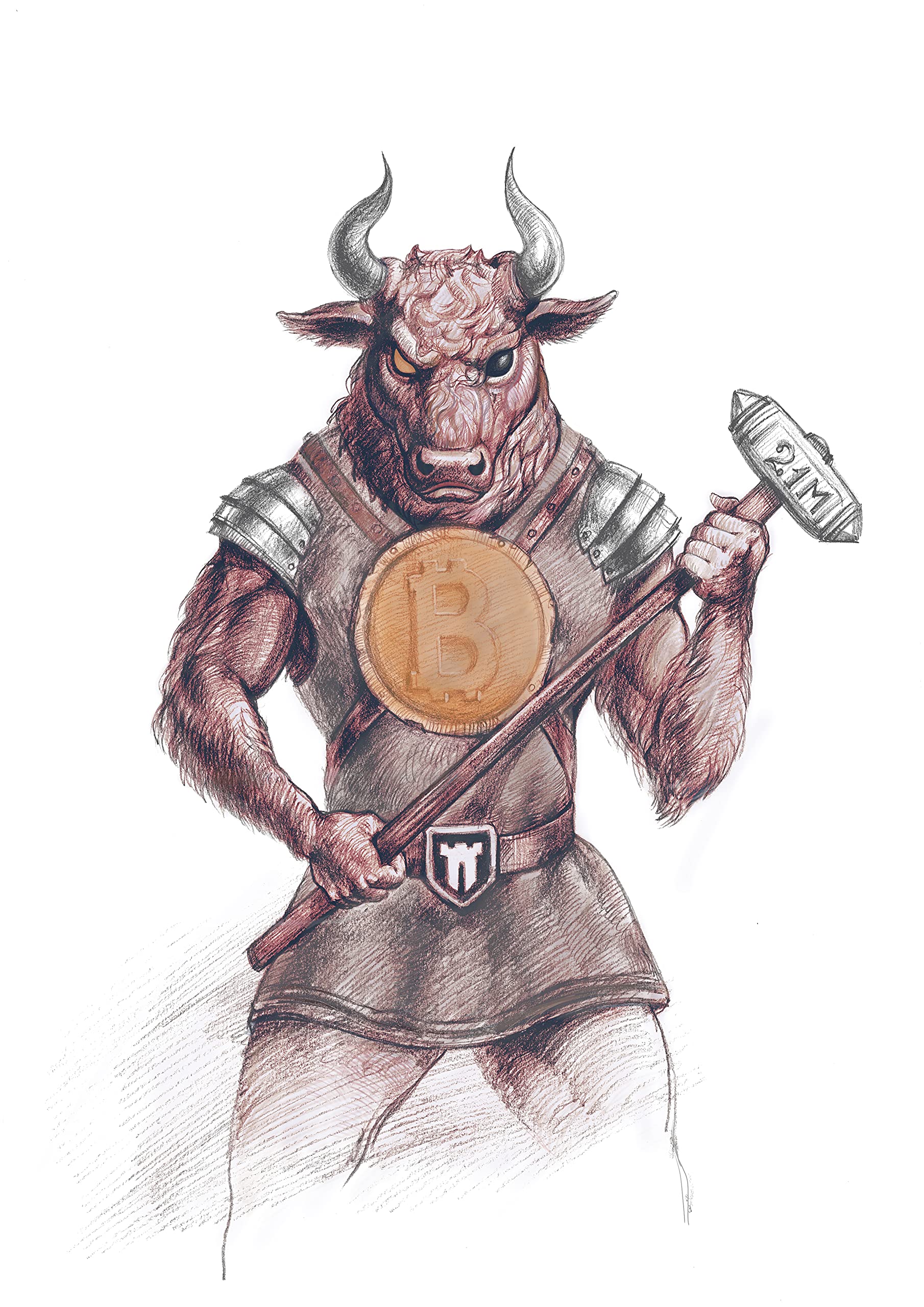 The Bullish Case for Bitcoin (Kindle Edition)