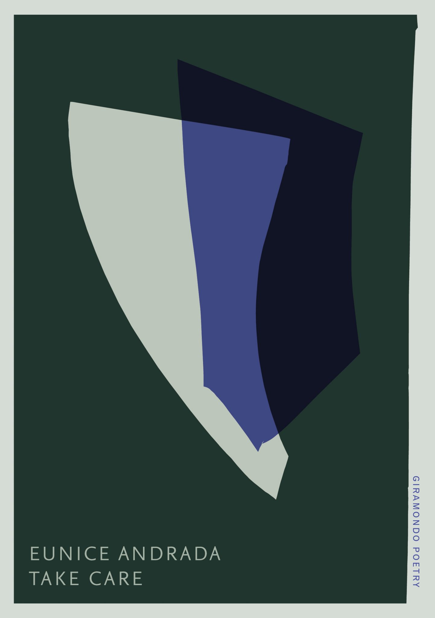 Take Care (Paperback)