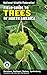 National Wildlife Federation Field Guide to Trees of North America