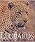 A Time with Leopards