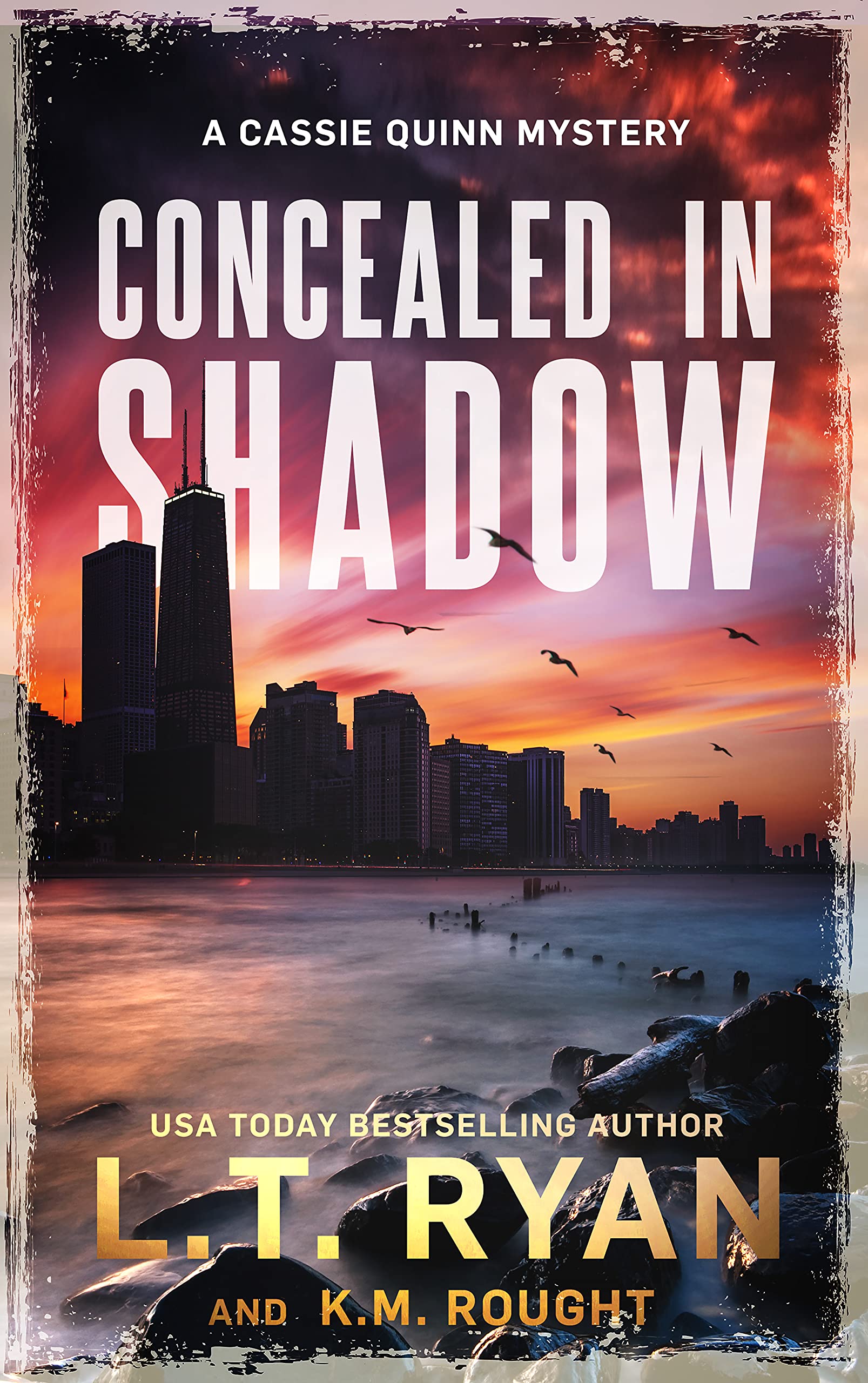 Concealed in Shadow (Cassie Quinn #5)
