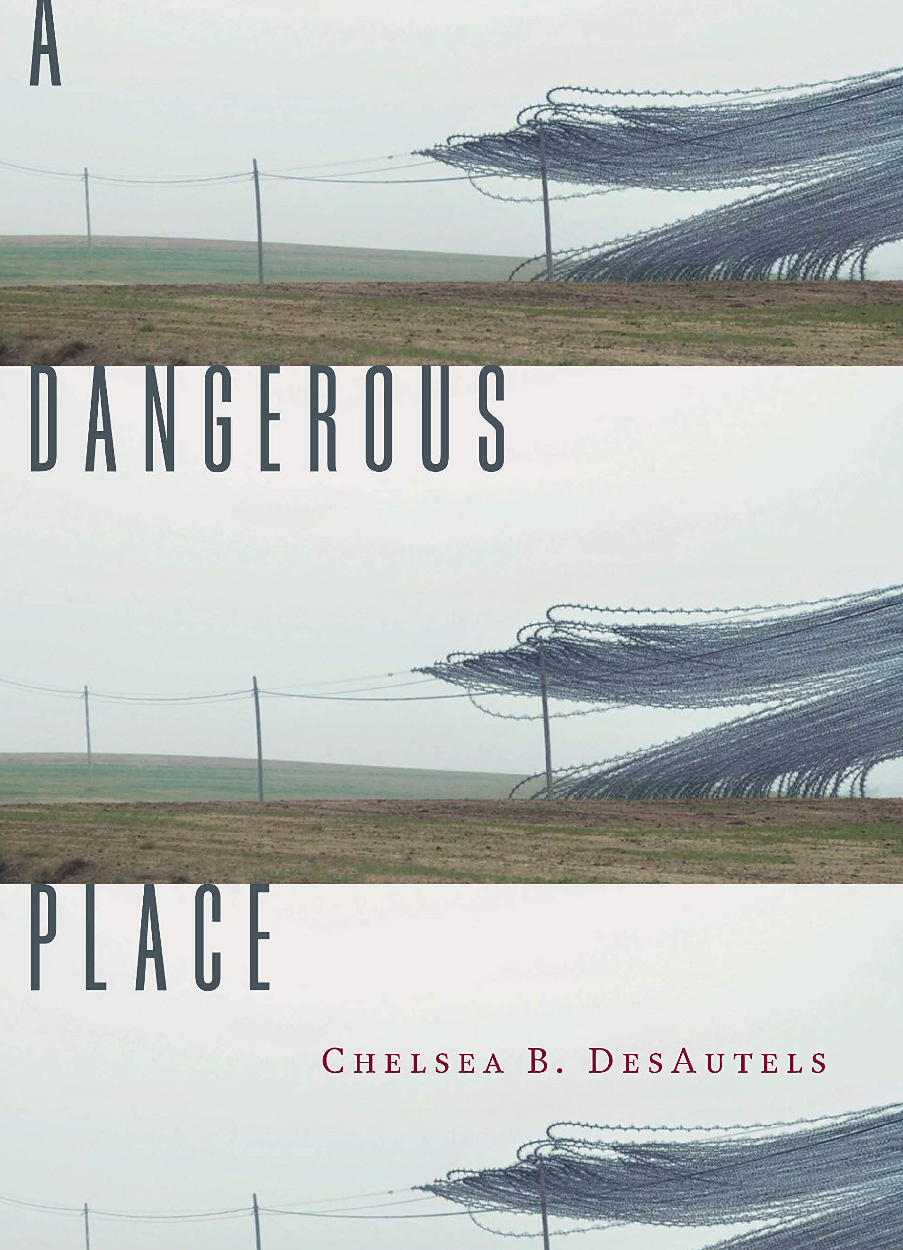 A Dangerous Place (Kindle Edition)