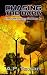 Chasing the Dark: The Darkn...