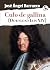 Culo de gallina: [Download Luis XIV]