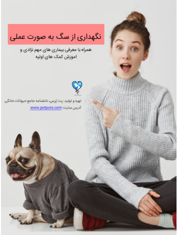 کتاب الکترونیکی راهنمای نگهداری از سگ به صورت عملی و کاربردی