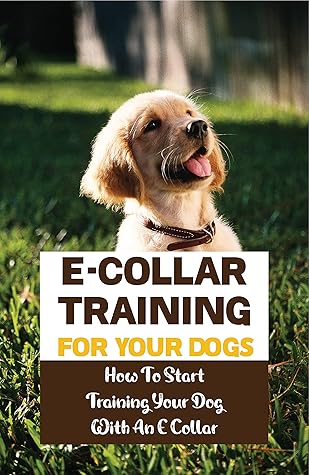 when to start using e collar