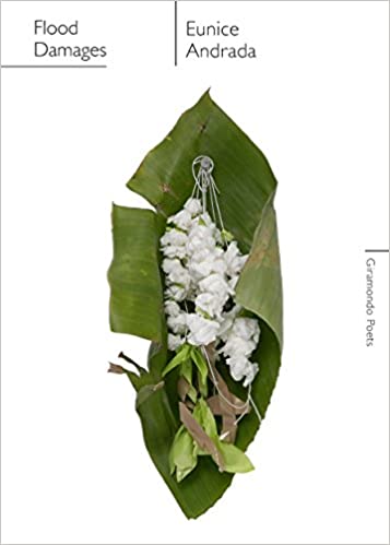 Flood Damages (Paperback)