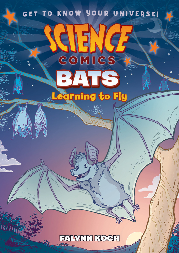 Bats: Learning to Fly (Paperback)