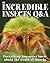 Incredible Insects Q & A by Sally Tagholm