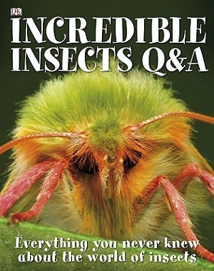 Incredible Insects Q & A (Hardcover)
