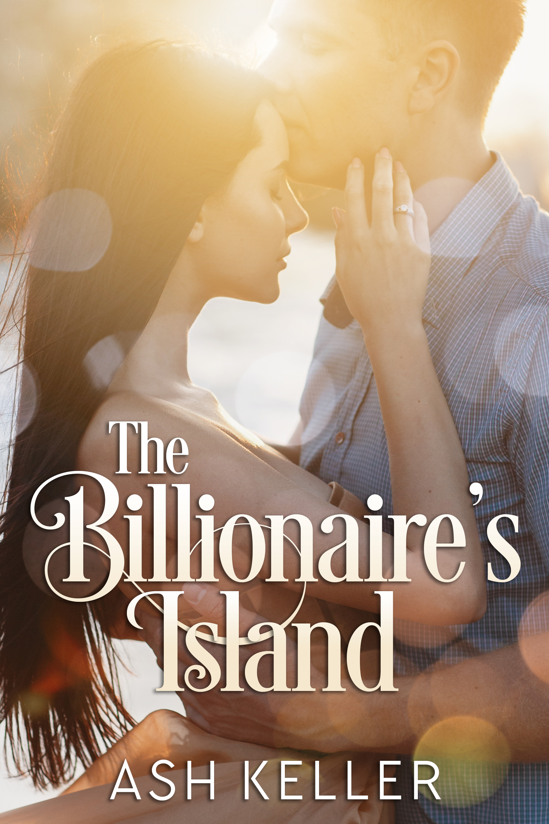 The Billionaire's Island