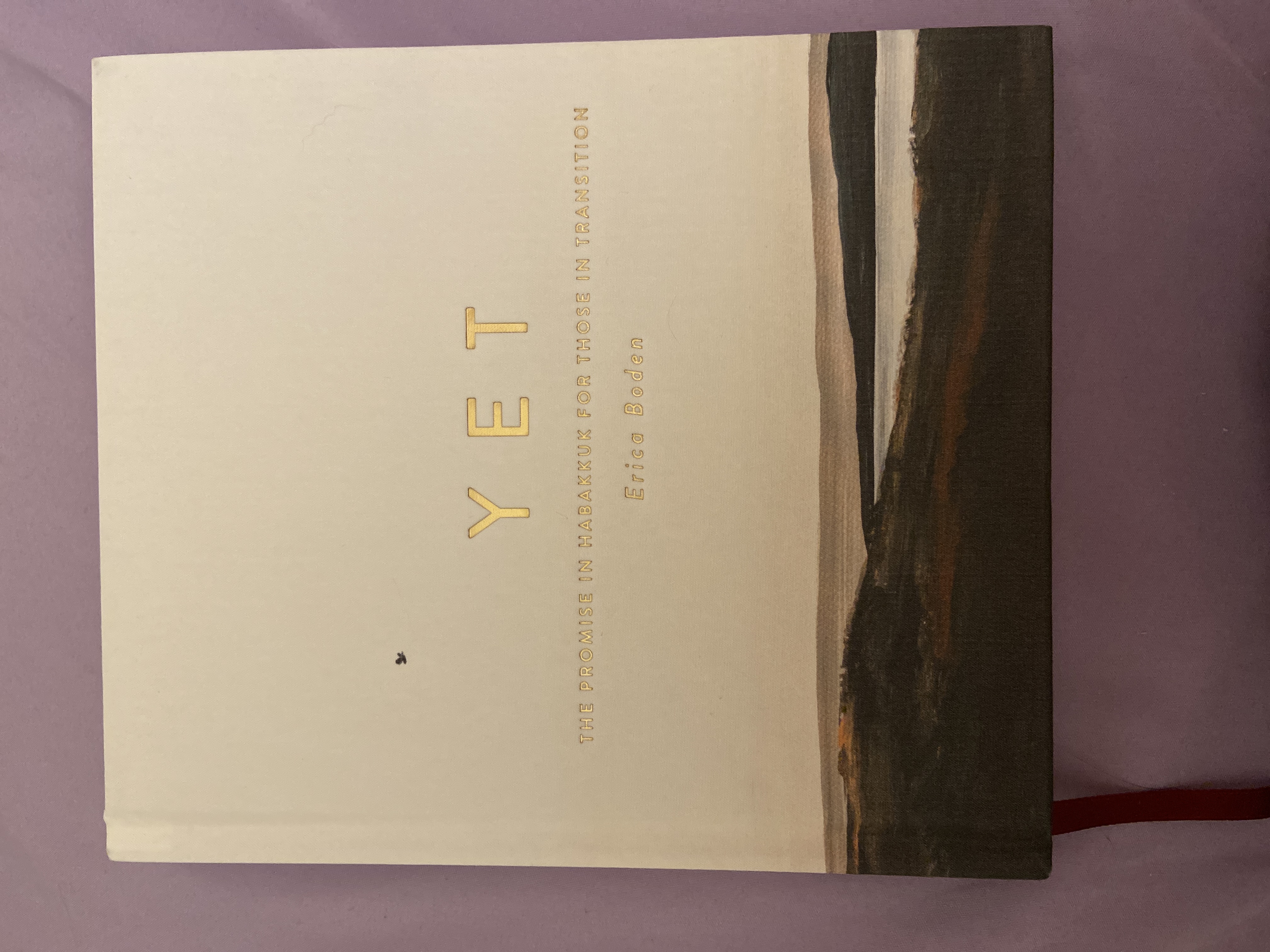 YET: The Promise in Habakkuk for Those in Transition (Unknown Binding)