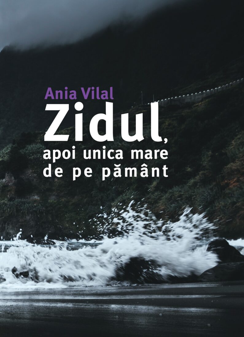 Zidul, apoi unica mare de pe pământ (Paperback)