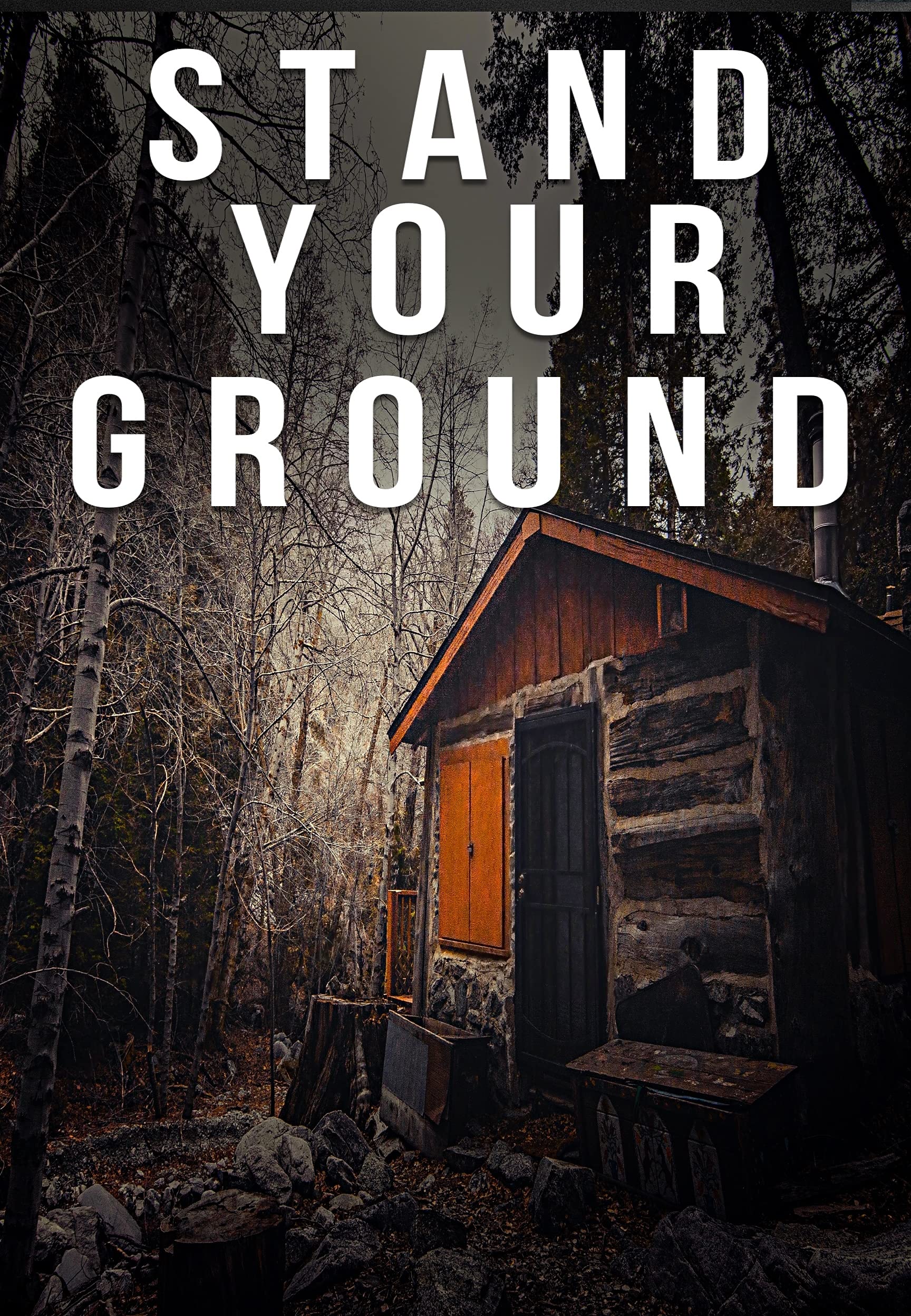 Stand Your Ground: An EMP Thriller Boxset (ebook)