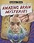 Amazing Brain Mysteries (Mystery Files)
