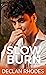 Slow Burn (Brazen Bridge #1)