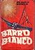 Barro Blanco